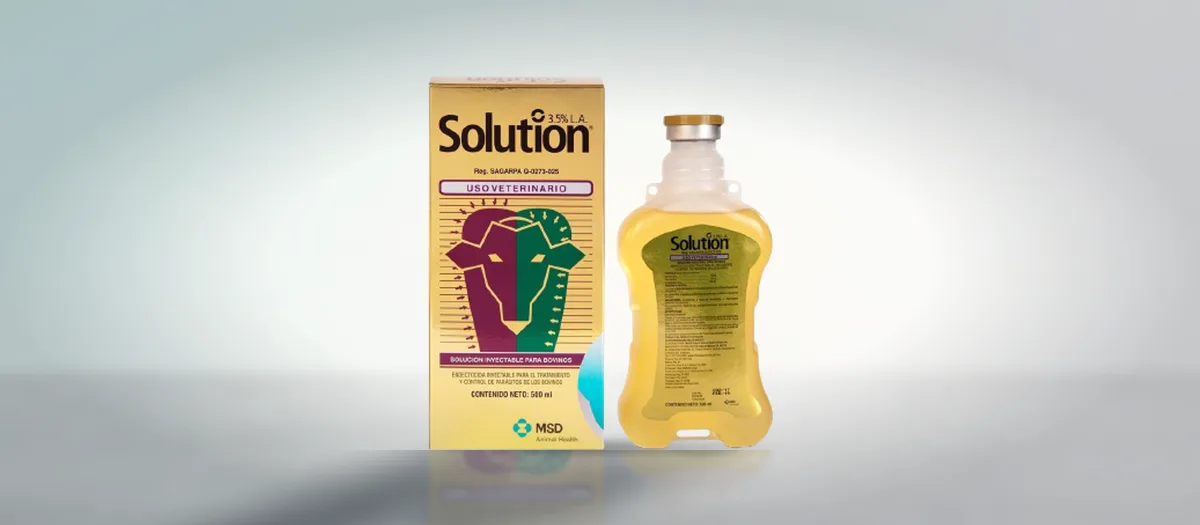 Solution
