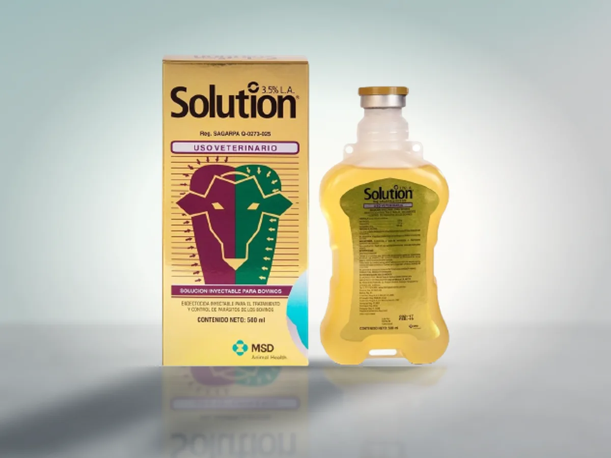 Solution